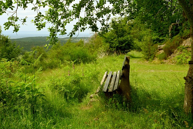 的总比分胜 的总比分胜