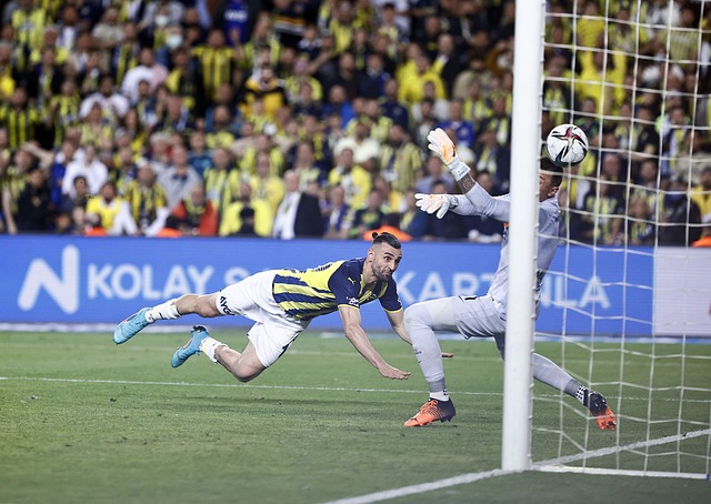 对方的腰部 对方的腰部