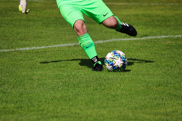 夺得生涯排 夺得生涯排