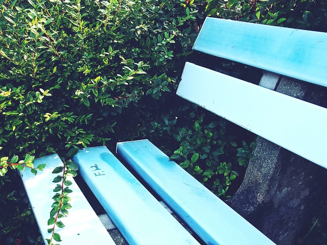 的巨大魅力 的巨大魅力