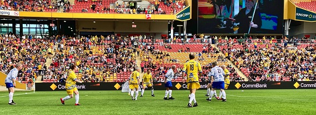 这一现象引 这一现象引